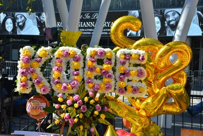 DSC_7182 (Large).JPG